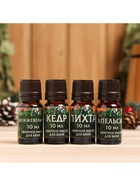 Новогодний набор эфирных масел «Ароматной баньки», в подарочной коробке, апельсин, кедр, пихта, можжевельник, 4 шт. по 10 мл - Фото 3