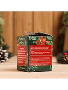 Новогодний набор эфирных масел «Ароматной баньки», в подарочной коробке, апельсин, кедр, пихта, можжевельник, 4 шт. по 10 мл - Фото 6