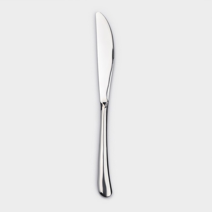 Нож столовый из нержавеющей стали Magistro «Джентри», длина 22,5 см, цвет серебряный - фото 1907538528