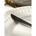 Нож столовый из нержавеющей стали Magistro «Фолк», длина 22 см, цвет чёрный - фото 4610955
