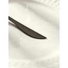 Нож столовый из нержавеющей стали Magistro «Фолк», длина 22 см, цвет чёрный - фото 4610957