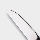 Нож столовый из нержавеющей стали Magistro «Виконт», длина 24 см, цвет серебряный - Фото 2
