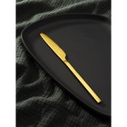 Нож столовый из нержавеющей стали Magistro «Оску стандарт», длина 21,3 см, цвет золотой - Фото 3