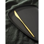 Нож столовый из нержавеющей стали Magistro «Оску базис», длина 23 см, цвет золотой - фото 2155372