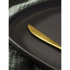 Нож столовый из нержавеющей стали Magistro «Фолк», длина 22 см, цвет золотой, серебряная ручка - Фото 2