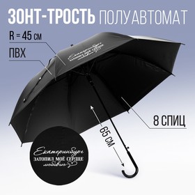 Зонт-трость полуавтомат «Екатеринбург», цвет черный, 8 спиц, R = 45 см