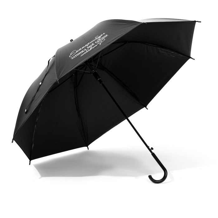 Зонт-трость полуавтомат «Екатеринбург», цвет черный, 8 спиц, R = 45 см - фото 1882514391