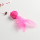 Дразнилка-удочка с мягким шариком и перьями, розовая - Фото 3