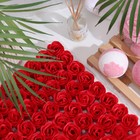 Розы мыльные красные, набор 81 шт - Фото 1