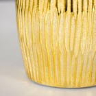 Настольная лампа "Селеста" Е14 40Вт золото 22х22х28 см RISALUX - фото 21793195