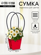 Сумка для цветов «Красная», влагостойкая, 12×12 - 8×8 - 12.5 см - Фото 1