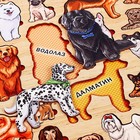 Рамка - вкладыши «Породы собак», 22 детали - Фото 3