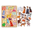 Рамка - вкладыши «Породы собак», 22 детали - Фото 5