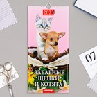 Календарь перекидной на ригеле "Щенки и котята" 2023 год, 16,5 х 34 см - Фото 1