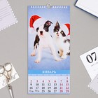 Календарь перекидной на ригеле "Щенки и котята" 2023 год, 16,5 х 34 см - Фото 2