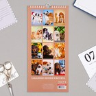 Календарь перекидной на ригеле "Щенки и котята" 2023 год, 16,5 х 34 см - Фото 3
