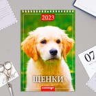 Календарь на пружине "Щенки" 2023 год, 17х25 см - Фото 1