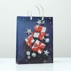 Пакет "Новогодние подарочки", мягкий пластик, 40 х 30 см, 140 мкм - фото 11166828