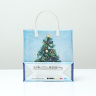 Пакет подарочный новогодний «Праздничная ёлка», мягкий пластик, 26×24 см, 140 мкм - Фото 3