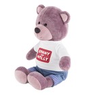Мягкая игрушка «Мишка Ронни в футболке с логотипом», 21 см - фото 319078130
