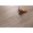 Водостойкий ламинат SPC PROFIELDn Дуб Маунт DJC86619-2 5,5 мм, 3,47 м2 подложка IXPE - фото 12685523