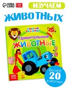 Картонная книга «Первая книга. Удивительные животные», 10 стр., 15×15 см, Синий трактор - Фото 1