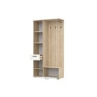 Прихожая ЛАЙМ, 1002х392х1955, Дуб ривьера/Рамух белый - фото 22956254