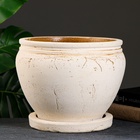 Горшок для цветов «Голиаф», 8 л, d=28 см, h=22 см, керамика, с поддоном, бежевый - Фото 7