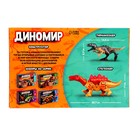 Конструктор «Диномир», 23 детали, тираннозавр и стегозавр, звук - Фото 4