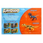 Конструктор «Диномир», 22 детали, тираннозавр и велоцираптор, звук - Фото 5