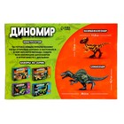 Конструктор «Диномир», 14 деталей, спинозавр и пахицефалозавр, звук - фото 3590628