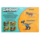 Конструктор «Диномир», карнотавр и пахицефалозавр, звуковые эффекты, 22 детали - Фото 4