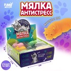 Мялка-антистресс «Пёсик», цвета МИКС, в шоубоксе - фото 320682436