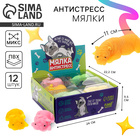 Антистресс сквиш мялка Funny toys «Пёсик», в шоубоксе, МИКС - Фото 1