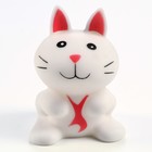 Игрушка пищащая "Кот" для собак, 8,5 см, белая 9131718 - фото 43707