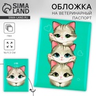 Обложка на ветеринарный паспорт «Котята» 9278660 - фото 10016352