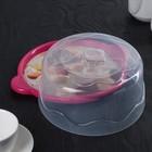 Тортовница «Десерт», 20 см, цвет МИКС - Фото 6