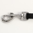 Рулетка Flexi Safari S, 5 м, тром, до 12 кг, голубой жираф (blue Giraffe)  (артикул 9231714)  большой выбор товаров оптом и в розницу по низким ценам с доставкой