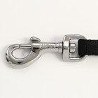 Рулетка Flexi Safari S, 5 м, трос, до 12 кг, желтый леопард (yellow Leopard) - Фото 2