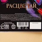 Шоколад молочный «8 марта», 5 г × 4 шт. - Фото 6