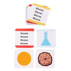 Развивающий набор «Какой? Какая? Какое?», в пакете - фото 24120682