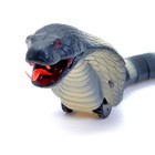 УЦЕНКА Змея радиоуправляемая «Королевская кобра», работает от аккумулятора, МИКС - Фото 2