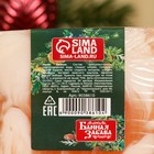 Мыло СПА - уход для бани и сауны «С легким паром» имбирный пряник 80 г - Фото 4