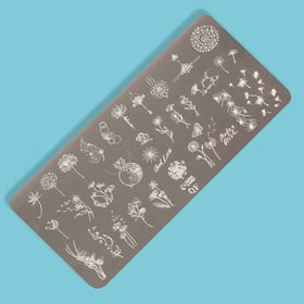 Пластина для стемпинга металлическая «Одуванчики», 12?6 см (комплект 2 шт)