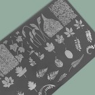 Диск для стемпинга металлический «Nature», 12 × 6 см - фото 24508574