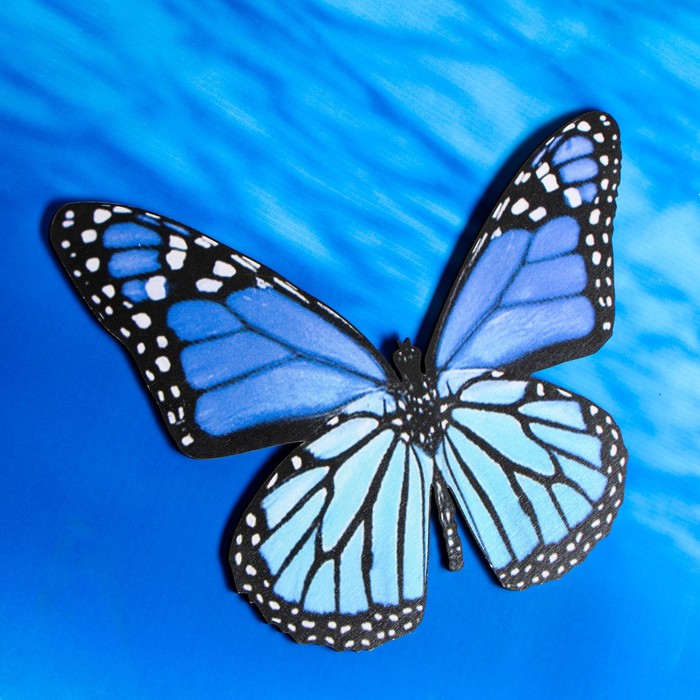 Выставка "Насекомые и их знакомые" 2023, Городской округ город Киров - дата и ме