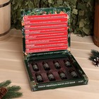 Новогодний набор эфирных масел «С Новым годом!», в подарочной коробке, 8 шт. по 10 мл - Фото 1