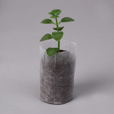 Пакет для рассады, 8.9×14.5 см, спанбонд плотностью 25 г/м², Greengo