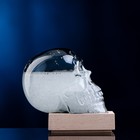 Барометр-штормгласс TAKE IT EASY «Череп», 10×9 см - Фото 2