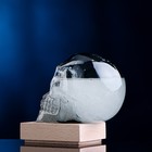 Барометр-штормгласс TAKE IT EASY «Череп», 10×9 см - Фото 3